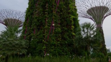 Gündüz koyunda bahçelerle