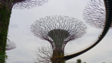 Gündüz koyunda bahçelerle