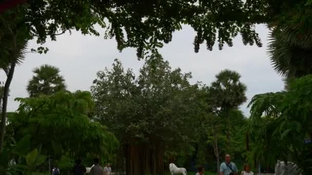 Piękny park w Singapurze — Wideo stockowe