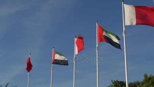 Drapeaux nationaux de dubai — Video