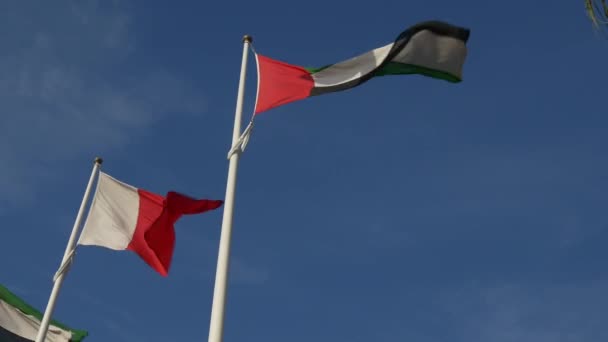 Dubai nemzeti zászlói — Stock videók