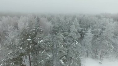 Bulutların üzerinde şaşırtıcı panorama