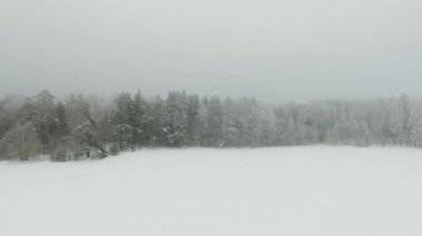 Güzel Kış Ormanı