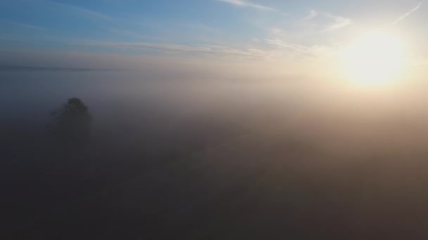 Cityscape pod mgła — Wideo stockowe