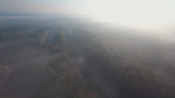 Belle forêt d'hiver 