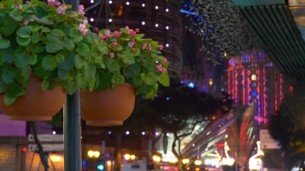 照らされたマカオの有名なホテル — ストック動画