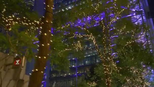 Noche Tiempo Iluminación Hong Kong Ciudad Centro Parque Árbol Caminando — Vídeo de stock