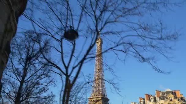 Tourists at Eiffel Tower — Stock Video