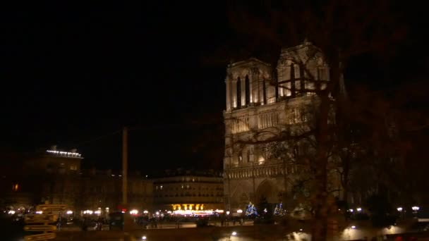 Katedralens notre dame de paris – stockvideo