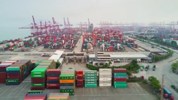 Shenzhen berömda containerhamn — Stockvideo