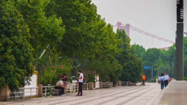 Wuhan wandelen bay bridge panorama — Stockvideo