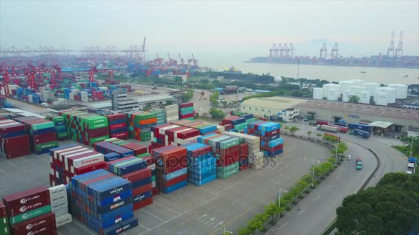 Famous port of shenzhen city — Stock Video