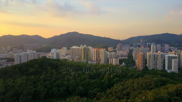 Shenzhen gród antenowe Panorama — Wideo stockowe