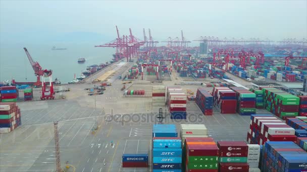 Shenzhen berühmter Containerhafen — Stockvideo