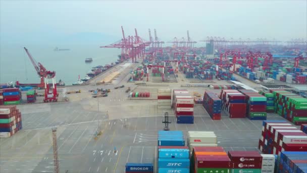Shenzhen berühmter Containerhafen — Stockvideo