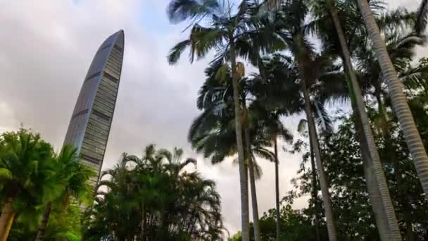 Clădirea Jingji 100 Shenzhen China — Videoclip de stoc