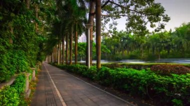 Shenzhen, Çin - Aralık 2017: gün ışığı kalabalık panoramik 4 k zaman sukut Aralık 2017 shenzhen, Çin.