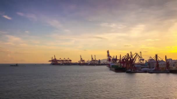 Shen Zhen Timelapse Dock Stadsgezicht Beeldmateriaal Panorama — Stockvideo