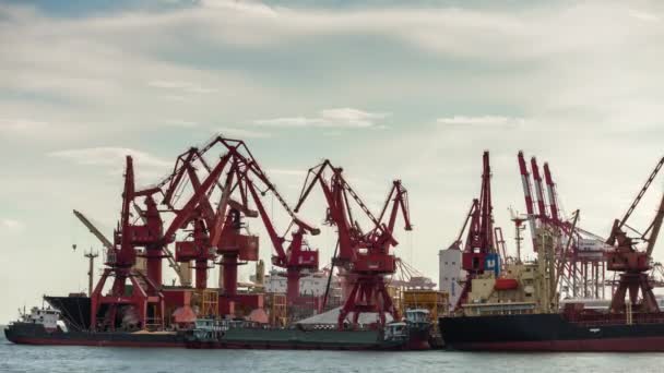 Shen Zhen Timelapse Docka Stadsbilden Footage Panorama — Stockvideo