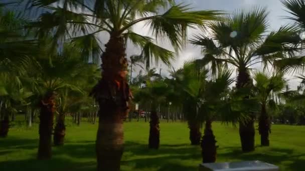 珠海市公園空中パノラマ タイムラプス映像 — ストック動画