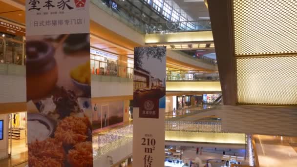 Shenzhen January 2016 People Shopping Mall — Stock Video