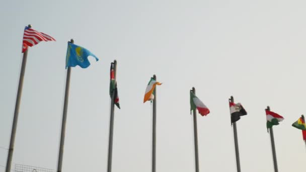 Bandeiras nacionais de Dubai — Vídeo de Stock