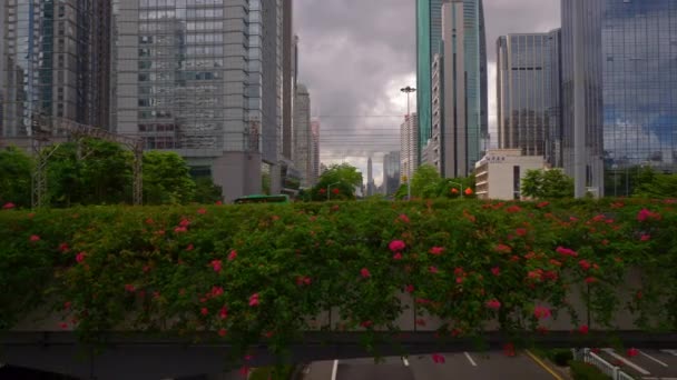 China Tag Zeit Shenzhen Verkehr Panorama — Stockvideo