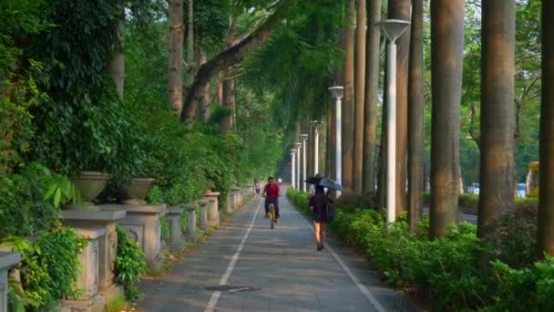 Shen Zhen Stadsbilden Trafik Med Människor Footage Panorama — Stockvideo