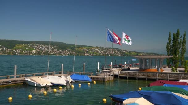 Dia Ensolarado Zurique Cidade Rio Panorama Câmera Lenta Suíça — Vídeo de Stock