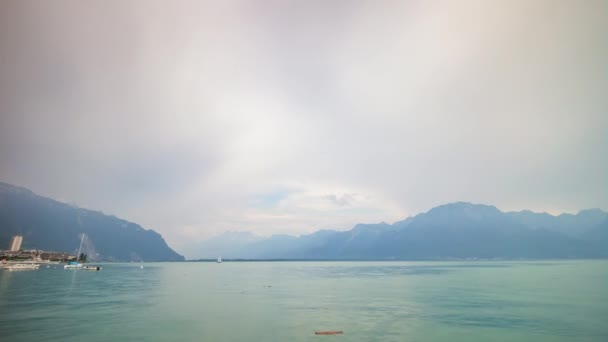 Blick auf den Kaktus im Strandhotel — Stockvideo