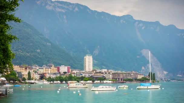 Blick auf den Kaktus im Strandhotel — Stockvideo