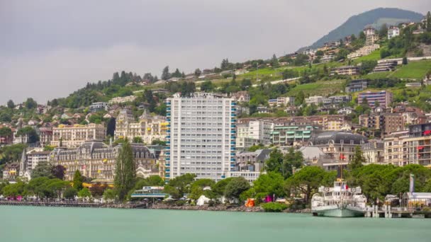 Cactus vue sur la plage Hôtel — Video