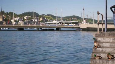 Luzern şehir merkezinin üzerinden uçuş nehir kenarı panorama 4k
