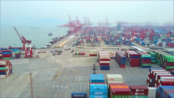 Shenzhen porto recipiente famoso — Vídeo de Stock