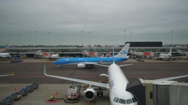 Amszterdam 2019 November Holland Nemzeti Repülőtér Amszterdam Felvétel — Stock videók