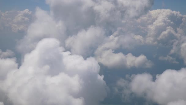 Increíbles Imágenes Vuelo Avión Sobre Amsterdam — Vídeos de Stock