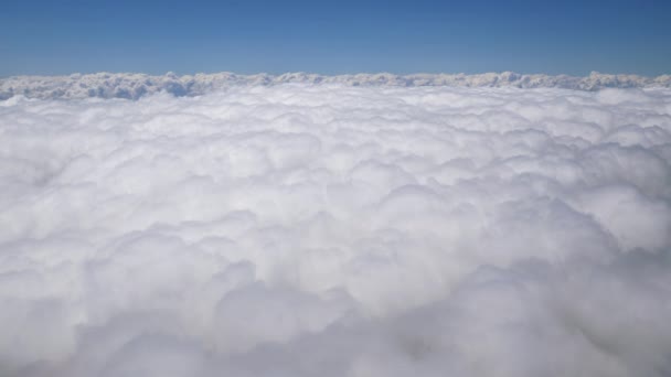 Increíbles Imágenes Vuelo Avión Sobre Amsterdam — Vídeos de Stock