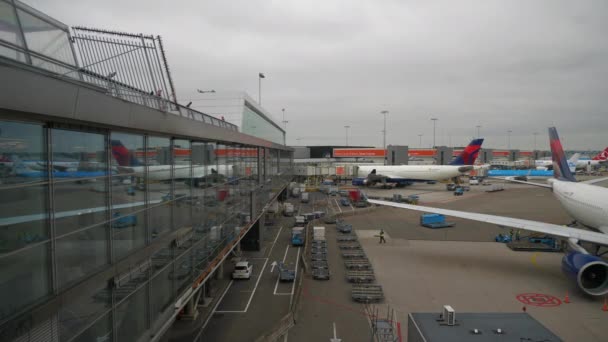 Amsterdam November 2019 National Airport Netherlands Amsterdam Footage — 비디오