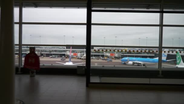 Amsterdam Noviembre 2019 Aeropuerto Nacional Holanda Amsterdam Metraje — Vídeos de Stock