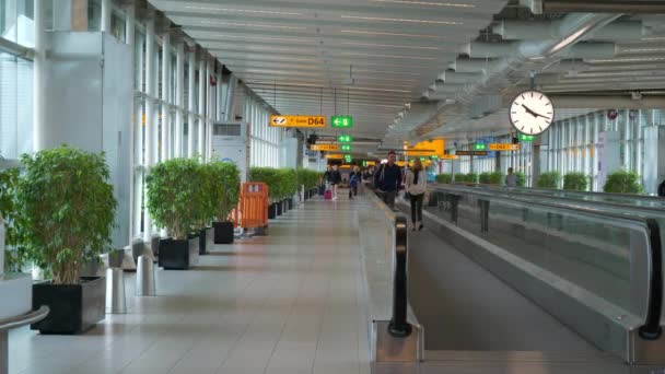 Amsterdão Países Baixos Circa 2019 Pessoas Que Deslocam Aeroporto Amesterdão — Vídeo de Stock