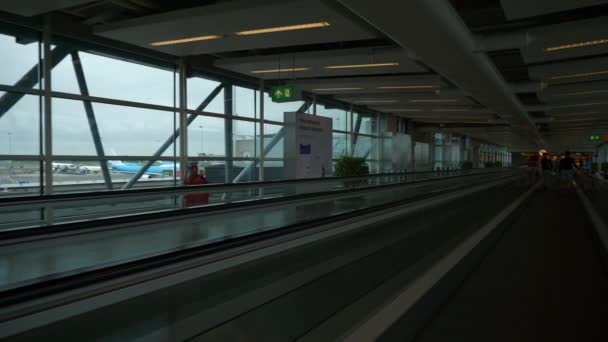 Amsterdam Países Bajos Circa 2019 Personas Que Desplazan Aeropuerto Ámsterdam — Vídeo de stock
