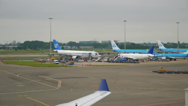 Amsterdam Listopad 2019 Krajowe Lotnisko Holandii Amsterdam Materiał — Wideo stockowe
