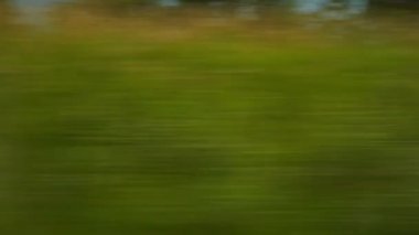Demiryolu treni seyahat ediyor. Cenevre Panoraması, İsviçre 4k zaman dilimi
