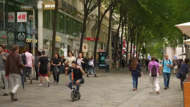 Vienna Stad Solig Dag Trångt Trafik Panorama Slow Motion Austrien — Stockvideo