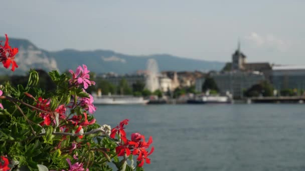 Día Escenas Del Paisaje Costa Ginebra Suiza — Vídeo de stock
