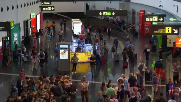 Giri Panoramici Sull Aeroporto Vienna Durante Giorno — Video Stock