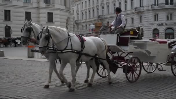 Vienna Cidade Dia Ensolarado Lotado Tráfego Panorama Câmera Lenta Áustria — Vídeo de Stock