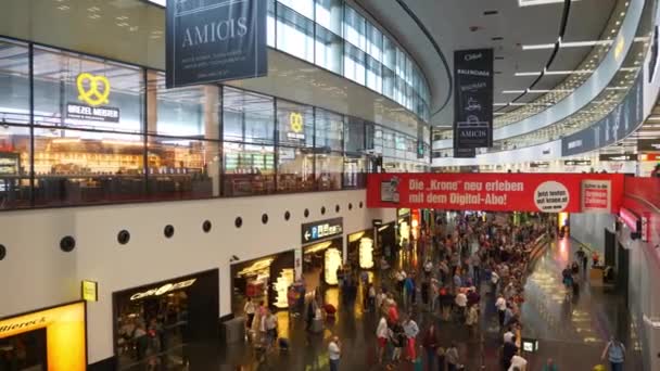 Dia Tempo Aeroporto Caminhando Imagens Panorâmicas Viena — Vídeo de Stock