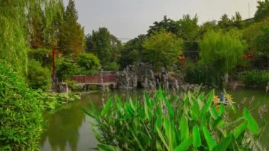 Gündüz vakti nehir kenarı hava manzarası 4K zaman dilimi görüntüsü