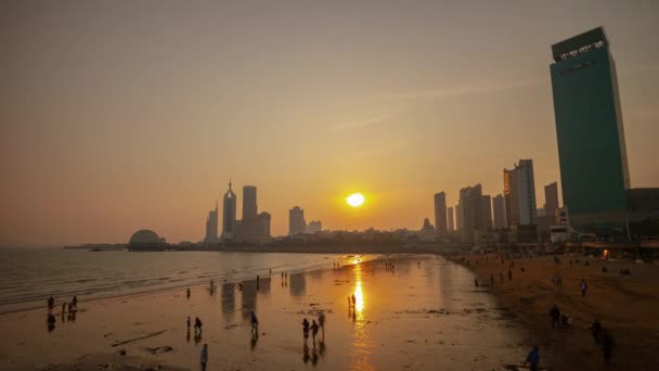 Tagsüber Qingdao Bay Innenstadt Luftaufnahme Zeitraffer China — Stockvideo